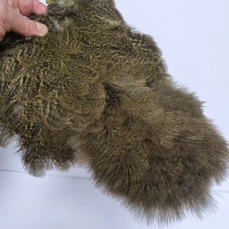 Whiting Coq de Leon Hen Soft Hackle with Chickabou in Speckled Olive-4